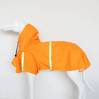 capa de chuva