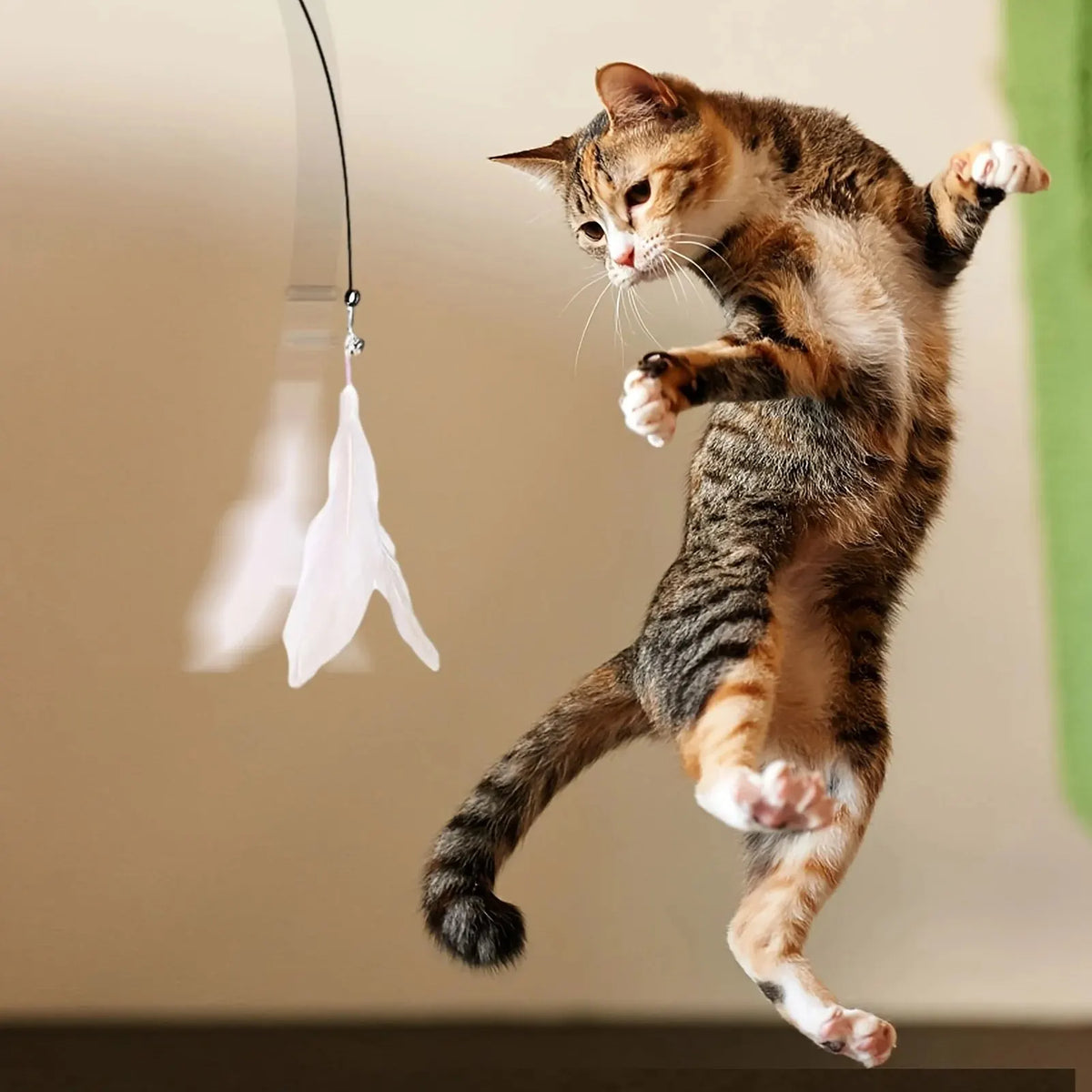 Vara Mágica para Gatos