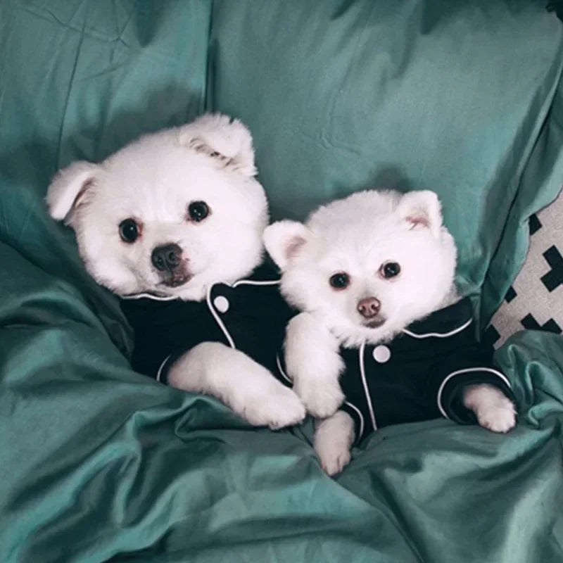 pijama para pets