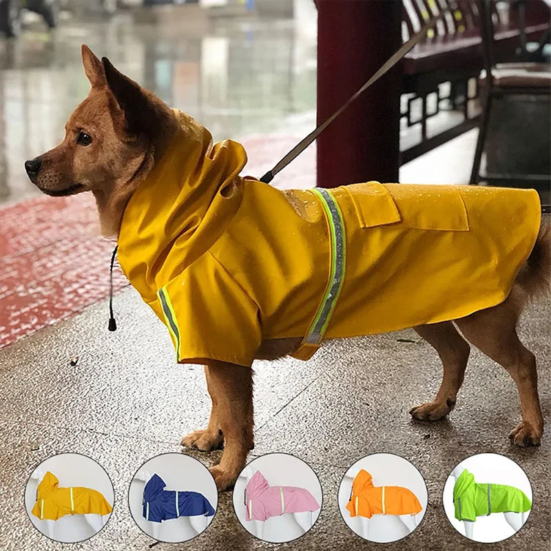 capa de chuva