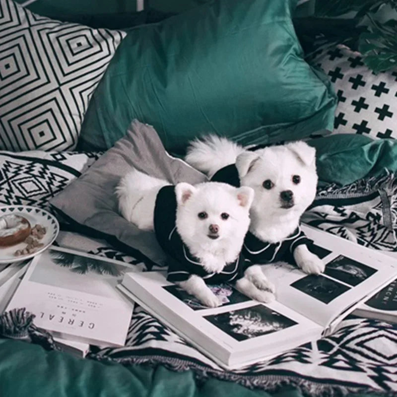 pijama para pets